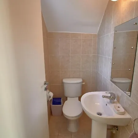 Persifonia كورال باي